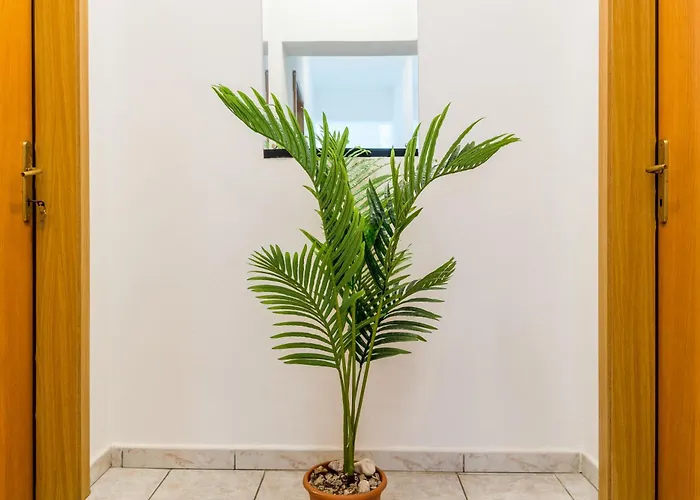 Guest house Claudia 3*